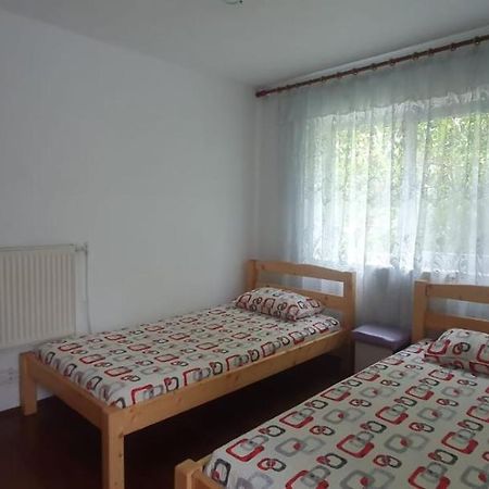 Hotel Casa Pitaru Calafat Zewnętrze zdjęcie