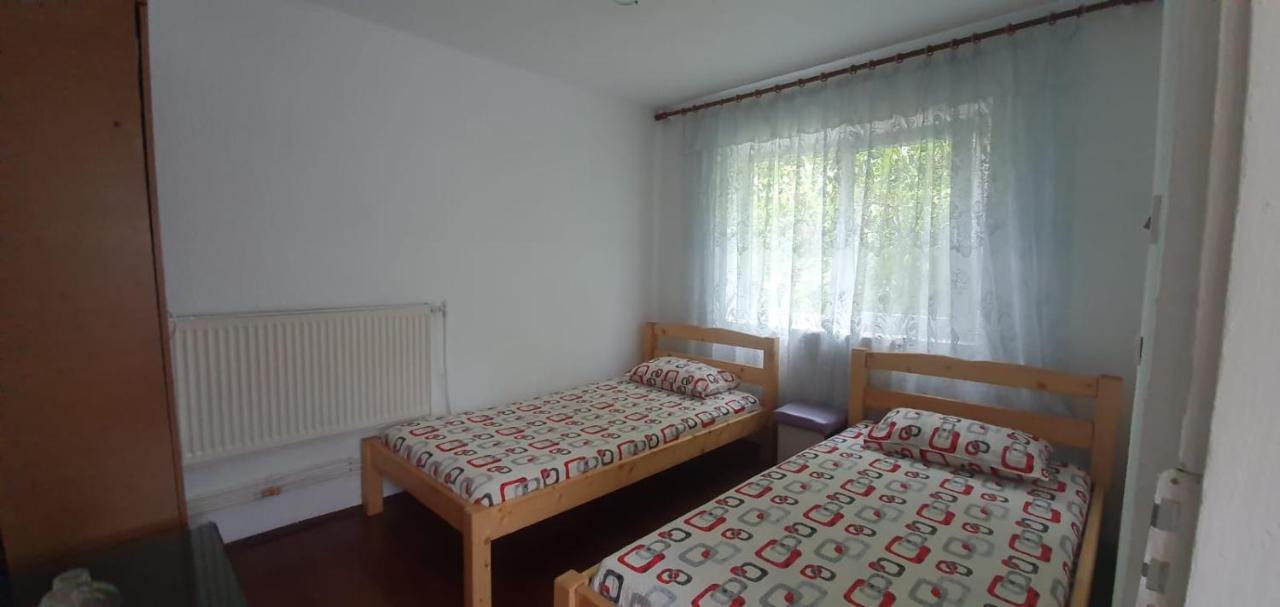Hotel Casa Pitaru Calafat Zewnętrze zdjęcie