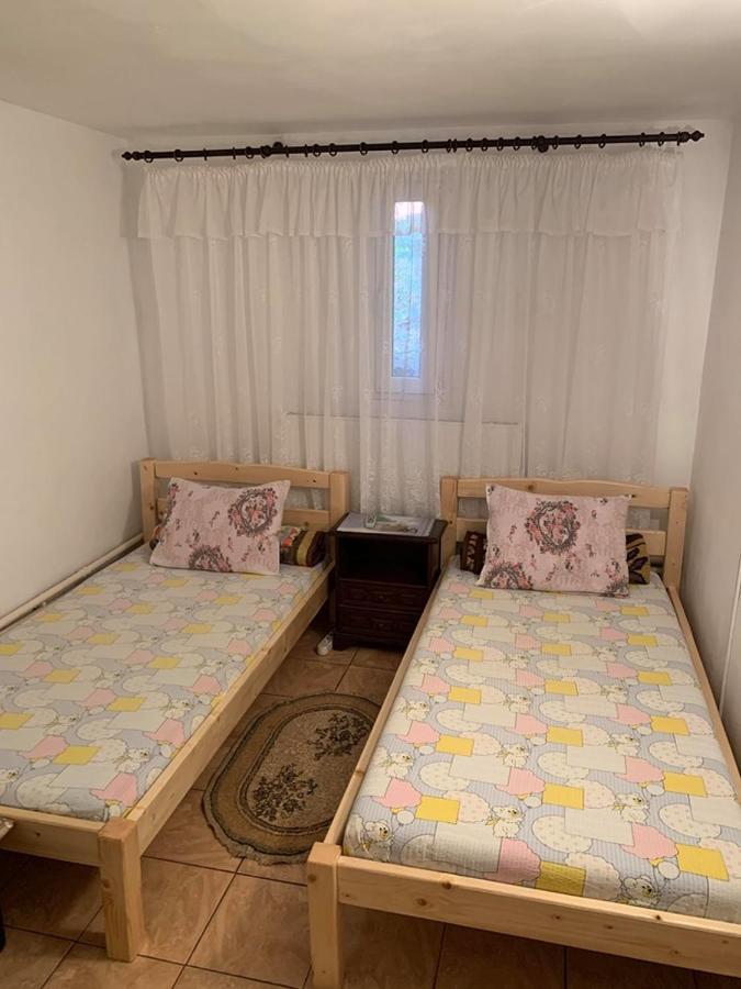 Hotel Casa Pitaru Calafat Zewnętrze zdjęcie