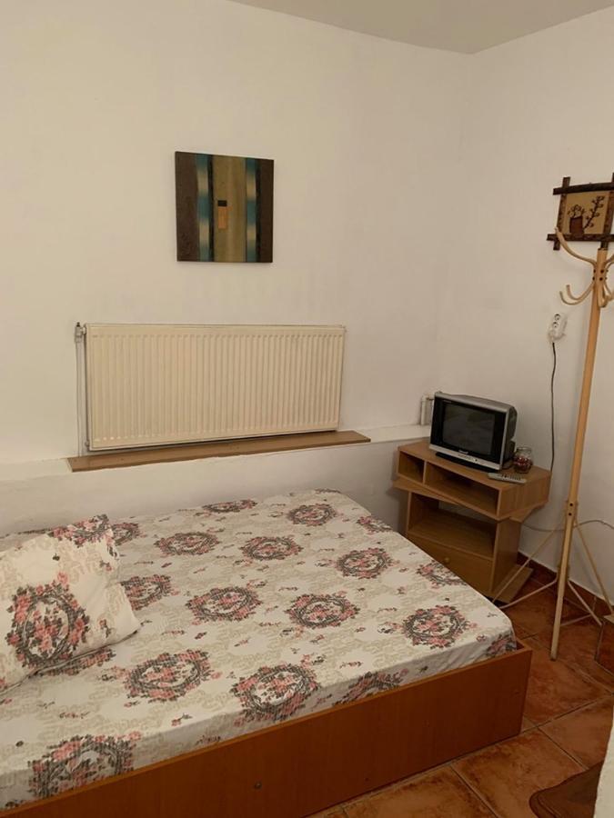 Hotel Casa Pitaru Calafat Zewnętrze zdjęcie